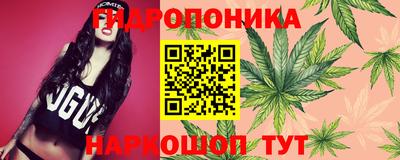 марихуана Камышлов