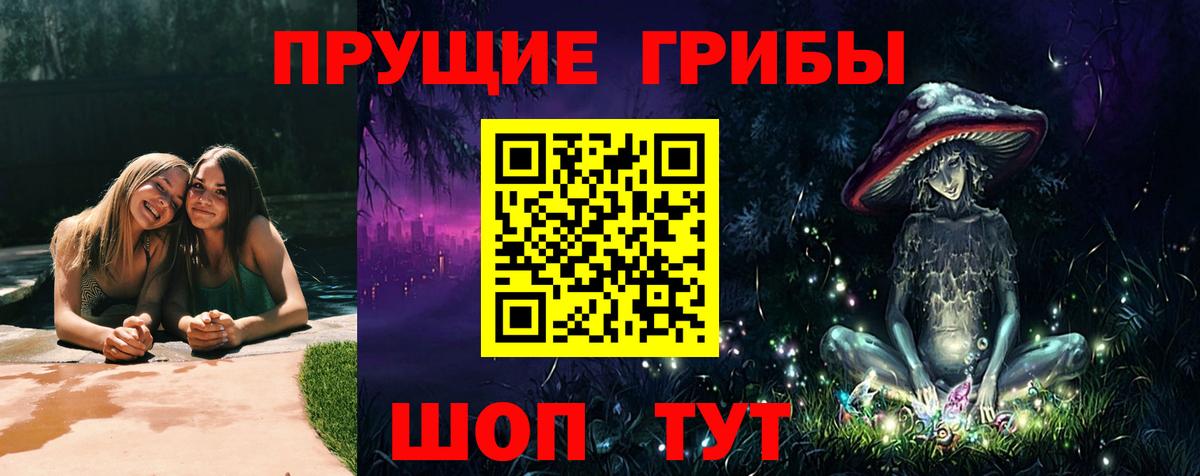 Псилоцибиновые грибы мицелий Комсомольск-на-Амуре